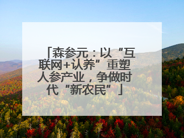森参元：以“互联网+认养”重塑人参产业，争做时代“新农民”