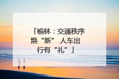 榆林：交通秩序焕“新” 人车出行有“礼”
