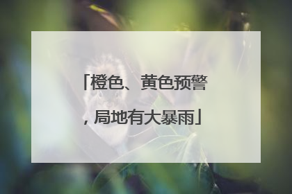 橙色、黄色预警，局地有大暴雨