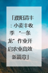 濮阳清丰：小麦丰收季 “一条龙”作业开启农业高效新篇章