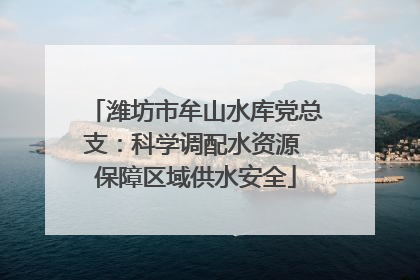 潍坊市牟山水库党总支：科学调配水资源 保障区域供水安全