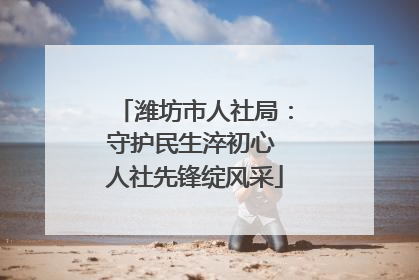 潍坊市人社局：守护民生淬初心 人社先锋绽风采
