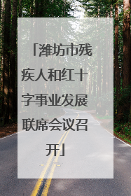 潍坊市残疾人和红十字事业发展联席会议召开