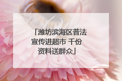 潍坊滨海区普法宣传进超市 千份资料送群众