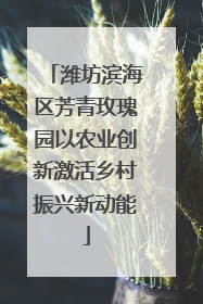 潍坊滨海区芳青玫瑰园以农业创新激活乡村振兴新动能