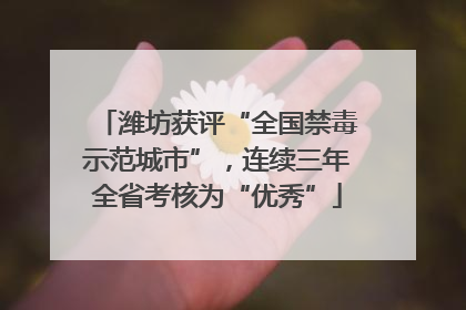 潍坊获评“全国禁毒示范城市”，连续三年全省考核为“优秀”