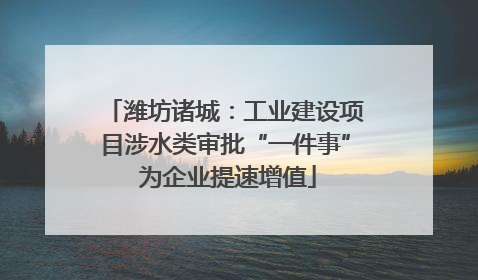 潍坊诸城：工业建设项目涉水类审批“一件事” 为企业提速增值