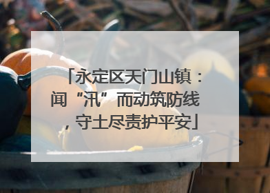 永定区天门山镇：闻“汛”而动筑防线，守土尽责护平安
