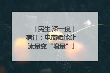 民生·深一度丨宿迁：电商赋能让流量变“增量”