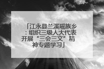江永县兰溪瑶族乡：组织三级人大代表开展“三会三文”精神专题学习