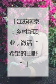 江苏南京：乡村新职业，激活“希望的田野”