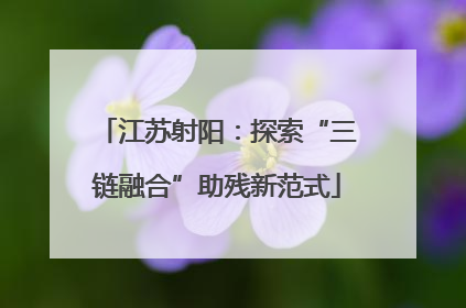 江苏射阳：探索“三链融合”助残新范式
