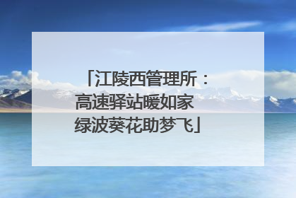 江陵西管理所：高速驿站暖如家 绿波葵花助梦飞