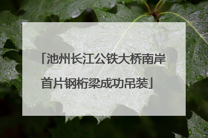 池州长江公铁大桥南岸首片钢桁梁成功吊装