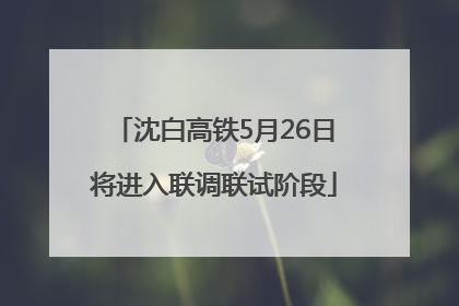 沈白高铁5月26日将进入联调联试阶段
