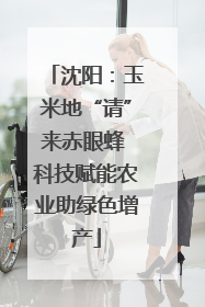 沈阳：玉米地“请”来赤眼蜂 科技赋能农业助绿色增产