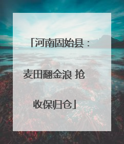 河南固始县：麦田翻金浪 抢收保归仓