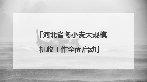 河北省冬小麦大规模机收工作全面启动