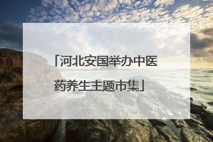 河北安国举办中医药养生主题市集