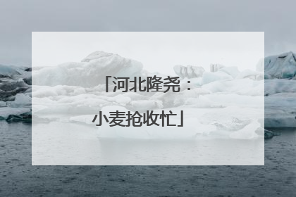 河北隆尧：小麦抢收忙