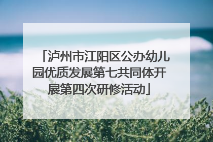 泸州市江阳区公办幼儿园优质发展第七共同体开展第四次研修活动