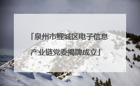 泉州市鲤城区电子信息产业链党委揭牌成立