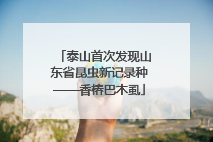 泰山首次发现山东省昆虫新记录种——香椿巴木虱