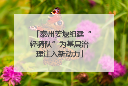 泰州姜堰组建“轻骑队”为基层治理注入新动力
