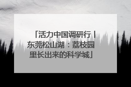 活力中国调研行丨东莞松山湖：荔枝园里长出来的科学城