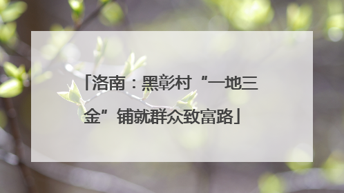 洛南：黑彰村“一地三金”铺就群众致富路