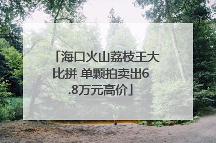 海口火山荔枝王大比拼 单颗拍卖出6.8万元高价