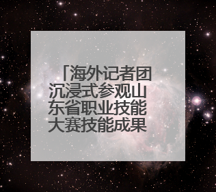 海外记者团沉浸式参观山东省职业技能大赛技能成果展