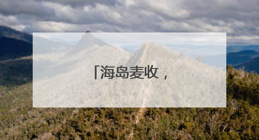 海岛麦收，长岛唯一