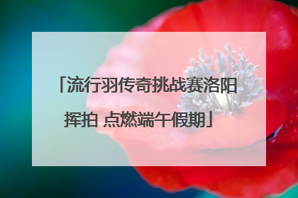 流行羽传奇挑战赛洛阳挥拍 点燃端午假期