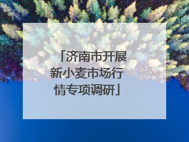 济南市开展新小麦市场行情专项调研