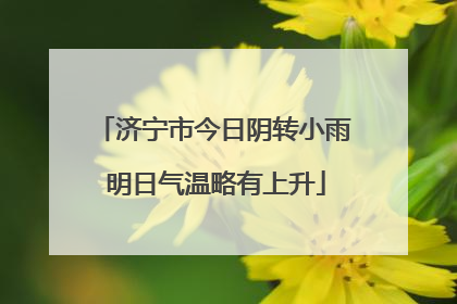 济宁市今日阴转小雨 明日气温略有上升