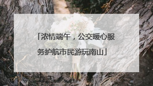 浓情端午，公交暖心服务护航市民游玩南山