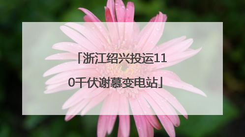 浙江绍兴投运110千伏谢慕变电站