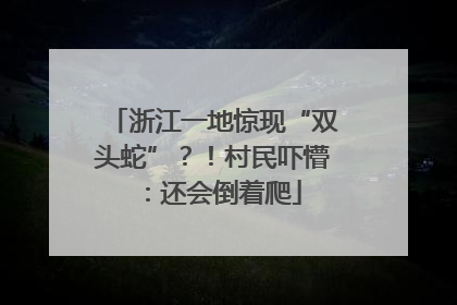 浙江一地惊现“双头蛇”？！村民吓懵：还会倒着爬