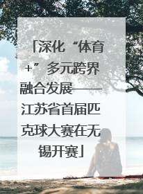 深化“体育+”多元跨界融合发展——江苏省首届匹克球大赛在无锡开赛