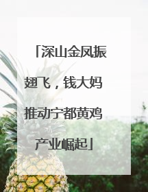 深山金凤振翅飞，钱大妈推动宁都黄鸡产业崛起