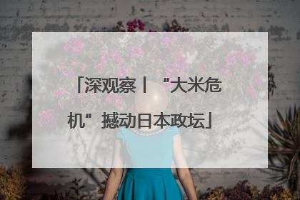 深观察丨“大米危机”撼动日本政坛