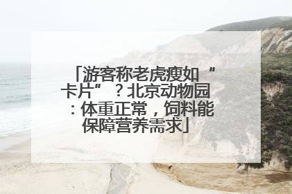 游客称老虎瘦如“卡片”？北京动物园：体重正常，饲料能保障营养需求