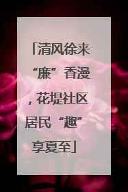 清风徐来“廉”香漫，花堤社区居民“趣”享夏至