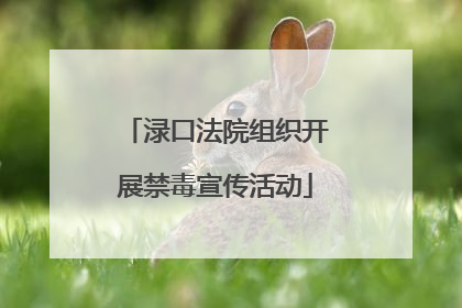 渌口法院组织开展禁毒宣传活动