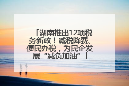湖南推出12项税务新政！减税降费、便民办税，为民企发展“减负加油”
