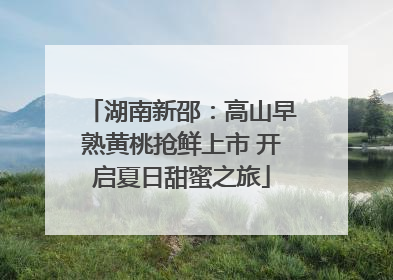 湖南新邵：高山早熟黄桃抢鲜上市 开启夏日甜蜜之旅
