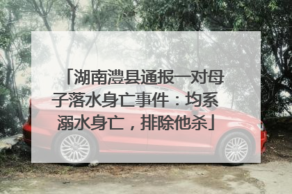 湖南澧县通报一对母子落水身亡事件：均系溺水身亡，排除他杀
