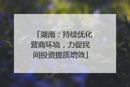 湖南：持续优化营商环境，力促民间投资提质增效