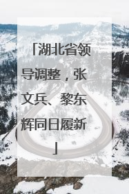 湖北省领导调整，张文兵、黎东辉同日履新